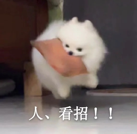 A small white dog jumping in the air with a pillow in its mouth. There is Chinese text at the bottom, that in English translates to "people, watch the moves!!"