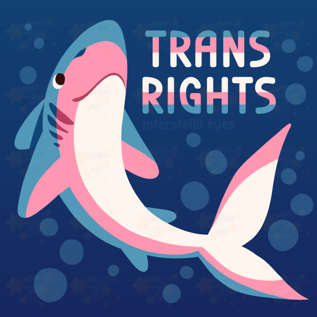 A digital drawing of a shark in trans flag colors surrounded by bubbles with the words "TRANS RIGHTS", drawn in a simple lineless style.
