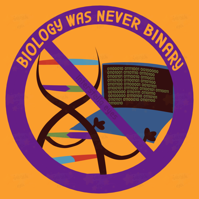 A digital drawing of a DNA double helix using a laptop with binary code, crossed out by a purple symbol on a yellow background resembling the intersex flag. The caption says "BIOLOGY WAS NEVER BINARY", and the drawing is made in a simple lineless style.