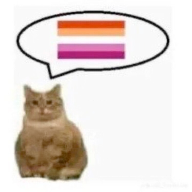 A low quality image of an orange cat. The lesbian flag is inside a speech bubble next to it.